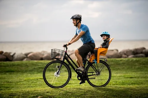 Silla Portabebe Para Bicicleta Thule Ridealong Lite Gris