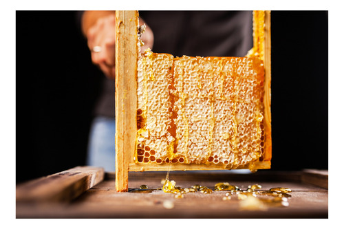 Penca De Miel Dolce Bee Miele