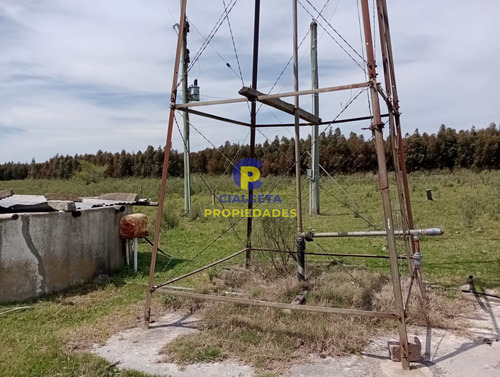 73 Hectáreas En Canelones