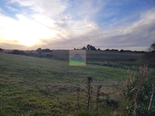 Imagen 5 de 26 de 70 Hectáreas De Campo Ganadero Corte De La Leña