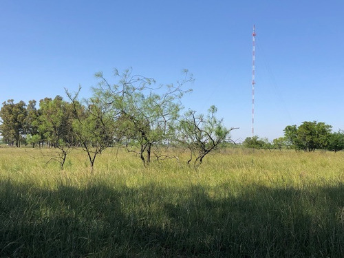Imagen 8 de 12 de Venta Fracción De Campo Con Mejoras En San Miguel Del Monte