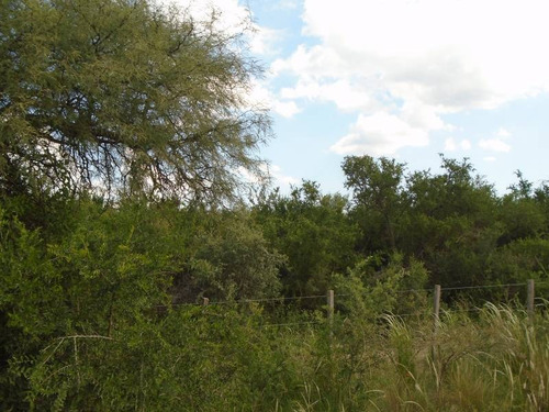 Terrenos O Lotes Venta Mina Clavero