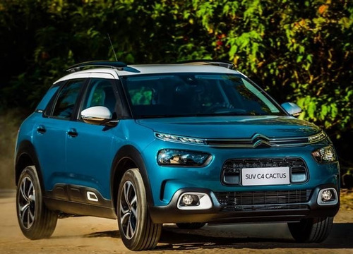Imagem 1 de 8 de C4 Cactus 2020