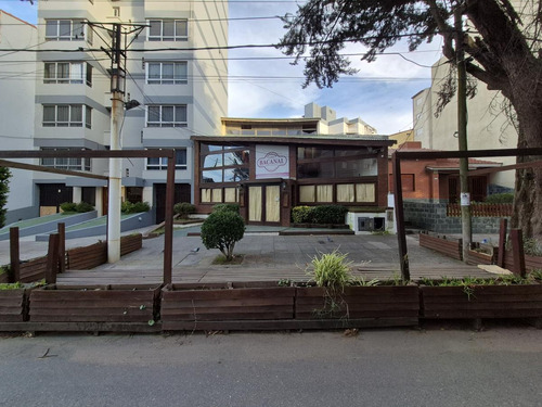 Excelente Local Comercial En San Bernardo (333)