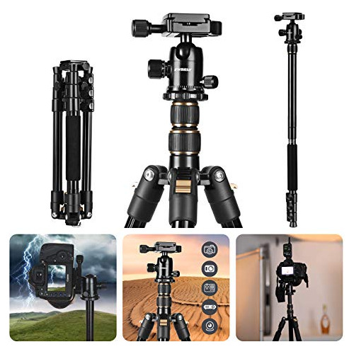 Gwnnsh Cámara Ligera TriPod De Viaje, 58  Monopod 3fkri