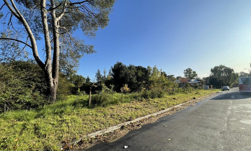 Imagen 2 de 16 de Venta Terreno 607 M2 Gral Pacheco Tigre