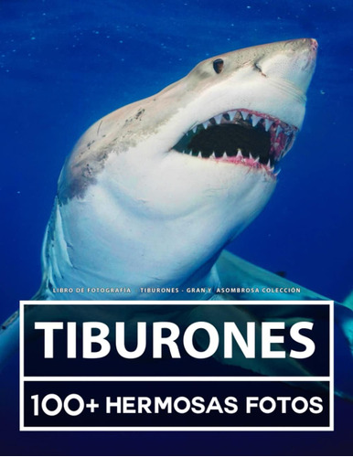 Libro: Libro De Fotografía Tiburones Gran Y Asombrosa 100 En