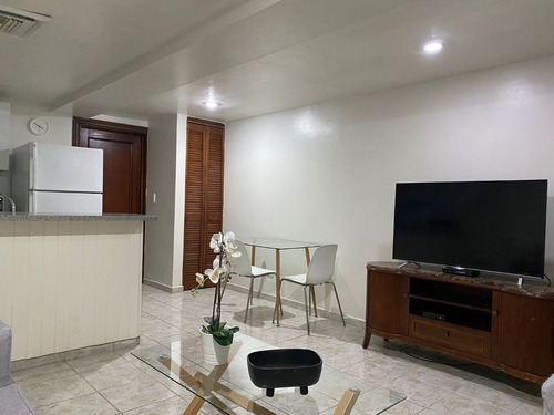 Alquiler Apartamento Amueblado En Naco