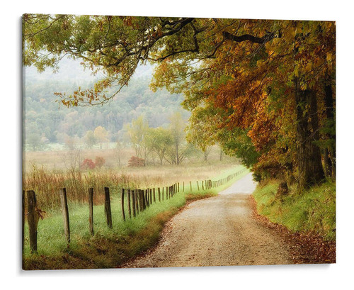 Canvas Lab Cuadro Otoño En Un Camino Rural 80x60, Danny Head