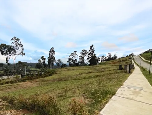 Lote Alto De Las Palmas, Unidad Cerrada