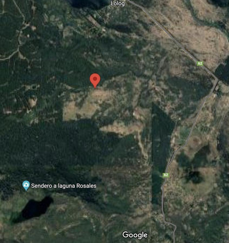 Imagen 2 de 2 de Terreno - San Martin De Los Andes