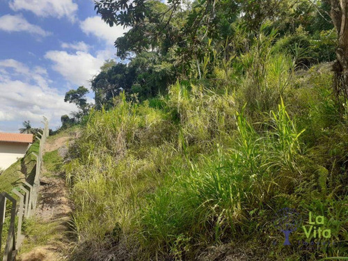 Imagem 4 de 7 de Terreno À Venda, 8500 M² Por R$ 350.000,00 - Passo Manso - Blumenau/sc - Te0208