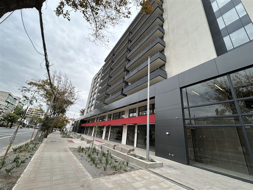 Precio Promocional, Nuevo,dpto 1d 1b. E+b Opcional.e.yañ