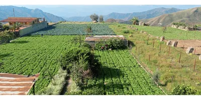 Terreno en alquiler