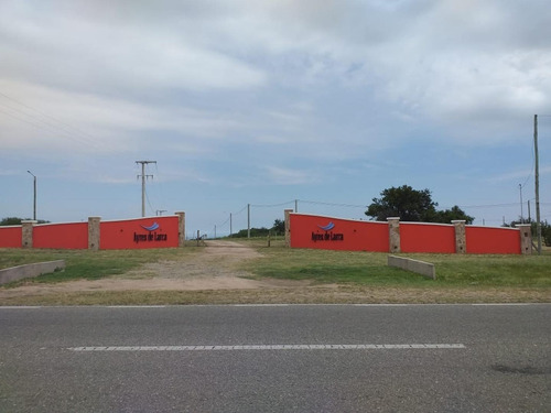 Imagen 9 de 12 de Lote En Ayres De Larca