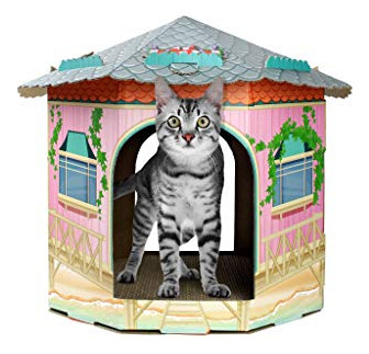 American Cat Club Cat House & Cat Scratcher Con Hierba Gater