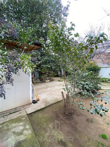 Sitio En Venta En Curicó