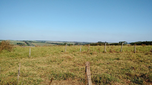Área De 30.000 M2 Em Região Nobre Na Cidade De Catanduva-sp.