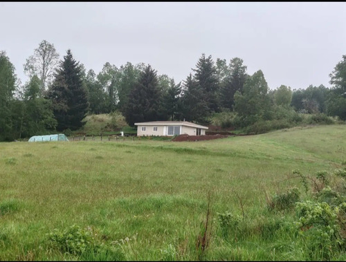 Parcela 24.300 M2 3 Dormitorios Camino Pichi Maule Frutillar