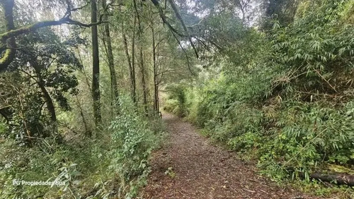 Terreno De 5 Hectáreas En Punucapa, Valdivia