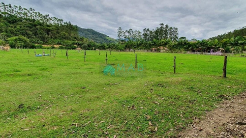 Imagem 3 de 30 de Lindo Sítio À Venda No Bairro São Luiz Em Apiúna Sc!! - Ru00003 - 69368760