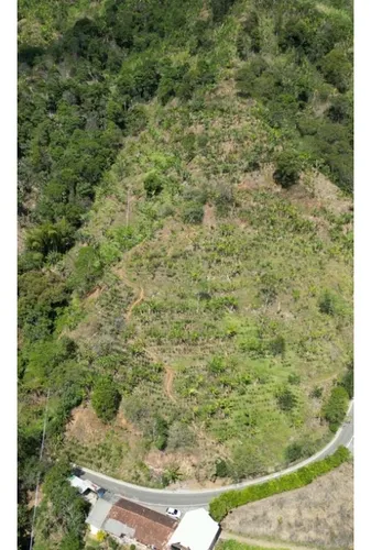 Finca Cafetera En Venta En Andes - Antioquia