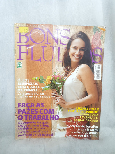 Bons Fluidos 101 - Faça As Pazes Com O Trabalho (Usado)