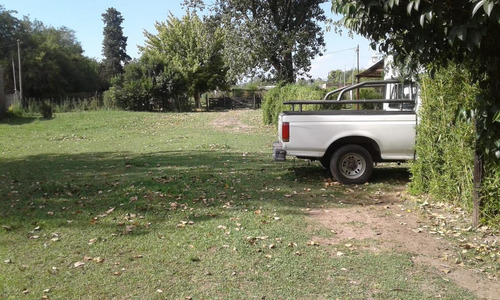 Imagen 5 de 7 de Quinta - Carmen De Areco