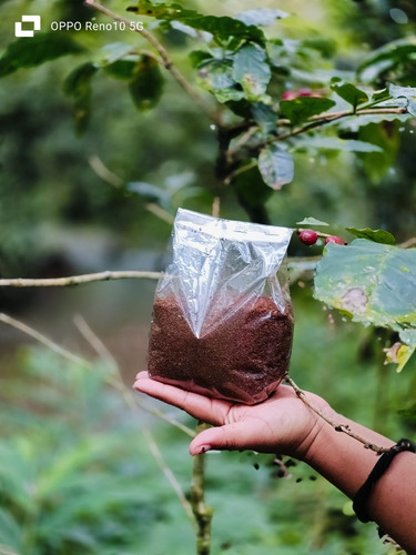 Café En Polvo O Grano