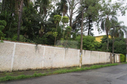 Imagem 7 de 29 de Terreno Residencial À Venda, Vila Rosália, Guarulhos. - Te0115