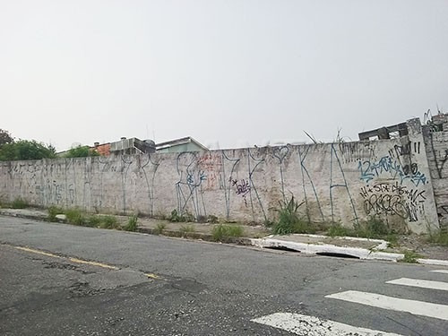 Imagem 3 de 3 de Terreno Em Imirim - São Paulo, Sp - 174824