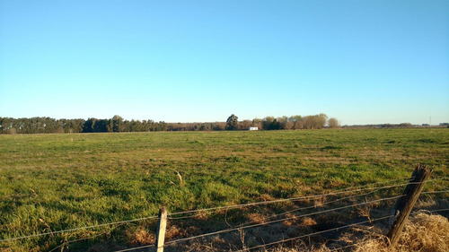Campo En Venta En San Eladio, Buenos Aires.