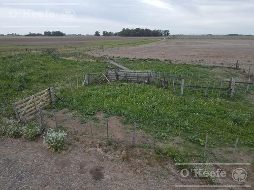 Imagen 7 de 13 de Campo En Venta De 90 Has En Saladillo Mixto