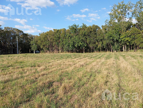 Espectacular Terreno En Venta En Semicerrado En Las Chacras, Zona La Cañada