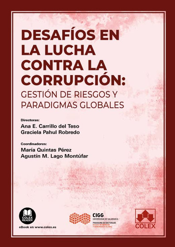 Desafios En La Lucha Contra La Corrupcion: Gestion De Riesgo