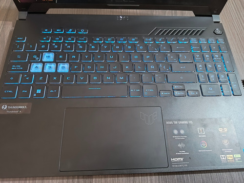 Asus Tuf F15 Gamer Negro (Usado)