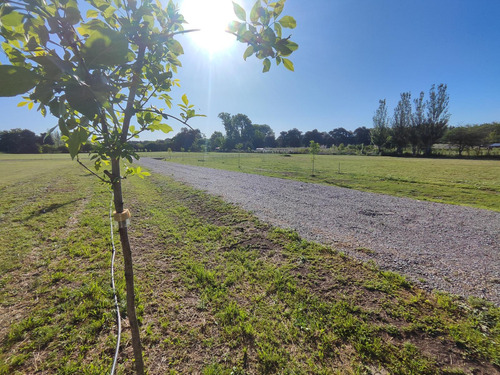 Open Door , Barrio Semi Cerrado , Lote 1100  M2 - Oportunidad De Inversión