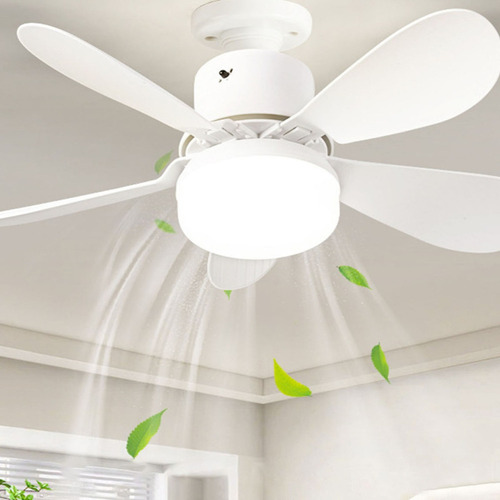 Para Para Bf 2024 Foco Ventilador Lampara Abanico Soquet