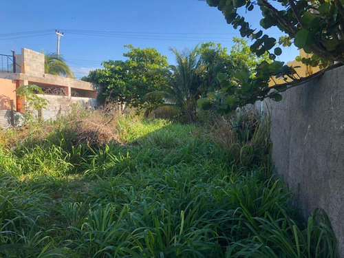 Imagen 10 de 16 de Terreno En Venta En Puerto Progreso, Yucatán