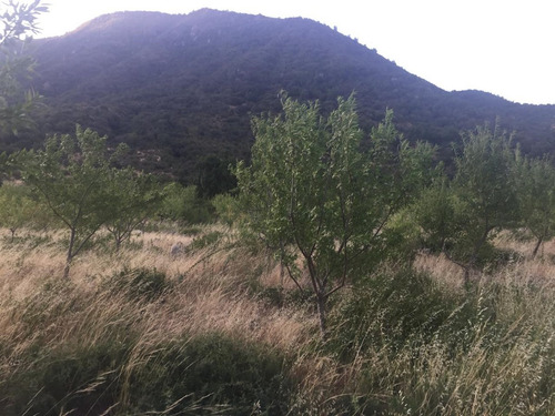 Parcela En Venta En Alhué 45,26 Ha