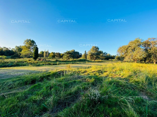 Imagen 3 de 3 de Lote En Venta Barrio Privado La Barra - La Barra La Barra