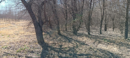 Cocucci Inmobiliaria Vende Finca En Tunuyan
