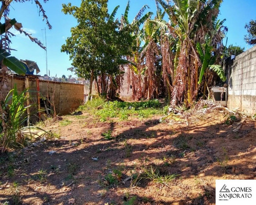 Imagem 3 de 3 de Terreno Para A Venda No Bairro Palmeiras - Te00052 - 69310151