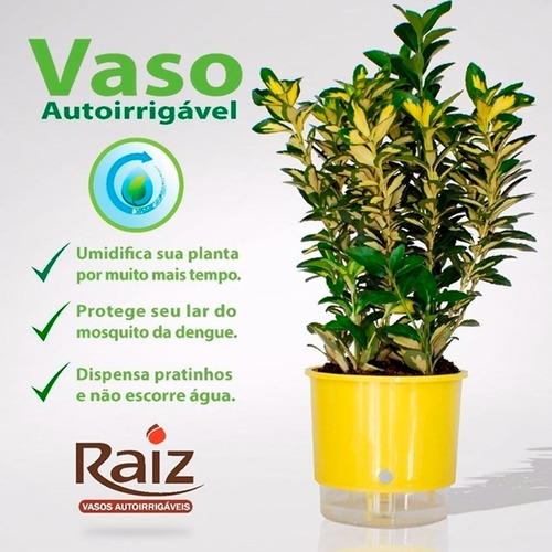 Imagem 3 de 7 de Vaso Raiz Auto Irrigável 16x14 Autoirrigável Preto Temperos