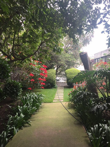 Imagen 12 de 14 de Casa En Un Solo Nivel Rodeada De Jardín Para Re Modelar