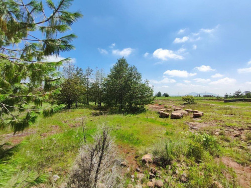 Terreno En Venta En Amealco