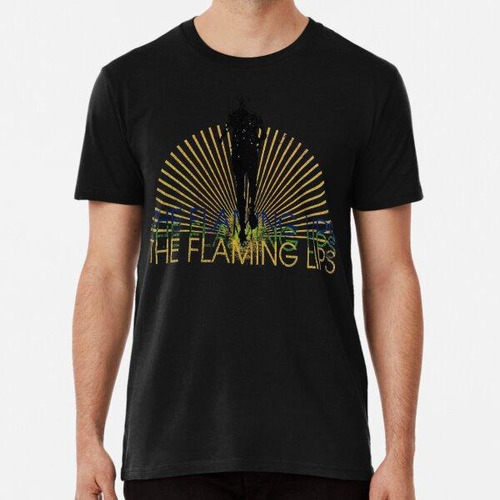 Remera 1999 The Flaming Lips Vintage The Soft Bulletin Era R