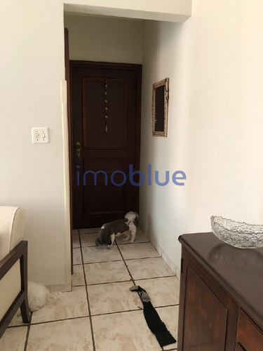 Imagem 5 de 13 de Apartamento 3 Dorm,gonzaga... - 1477
