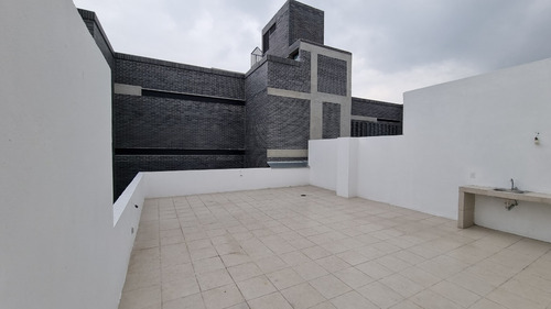 Imagen 21 de 22 de Renta Ph Con Roof Garden Privado En General Anaya