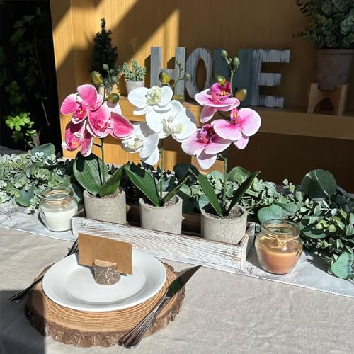 Set 3 Orquídeas Artificiales En Maceta Madera, Falaenopsis D